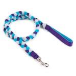 Braided leash
