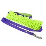 Leash with mop