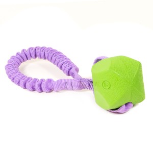 Chuckit! Erratic Ball ring CREATOR