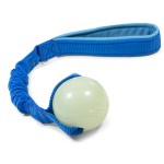 Chuckit! Max Glow with bungee CREATOR