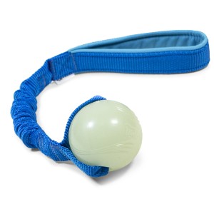 Chuckit! Max Glow with bungee CREATOR