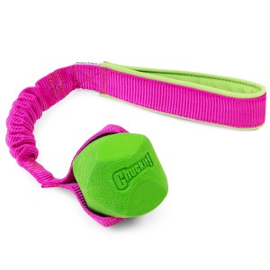 Chuckit! Erratic Ball with bungee CREATOR
