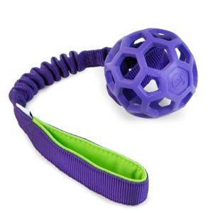 JW Pet Hol-EE Roller ball with bungee CREATOR