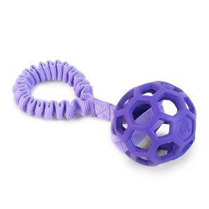 JW Pet Hol-EE Roller ball bungee ring CREATOR
