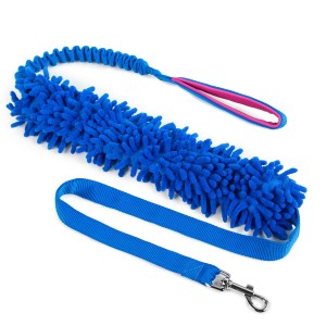 Leash with mop and bungee