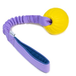 Starmark Durafoam with bungee CREATOR
