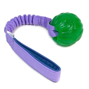 Starmark Chew Ball with bungee CREATOR
