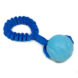 Chuckit! Fetch Ball bungee ring  CREATOR