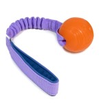 Chuckit! Strato Ball with bungee CREATOR