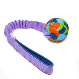 Chuckit! ECO Fetch with bungee