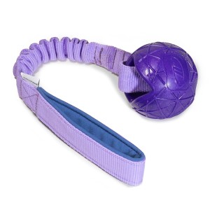 Moby Ball with bungee