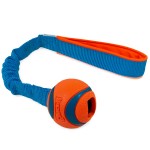 Chuckit! Ultra Ball with bungee