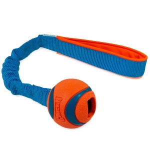 Chuckit! Ultra Ball with bungee