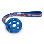 JW Pet Hol-EE Roller bungee FURRY PATRIOTS